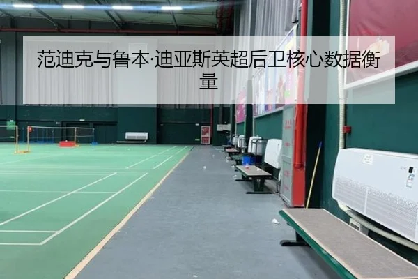 范迪克与鲁本·迪亚斯英超后卫核心数据衡量